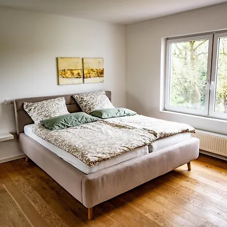 Auerose * Wesel (North Rhine-Westphalia)