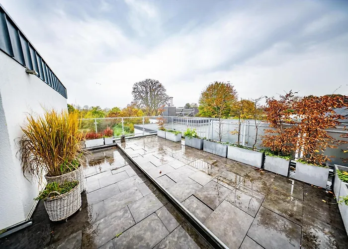 Auerose Wesel (North Rhine-Westphalia)